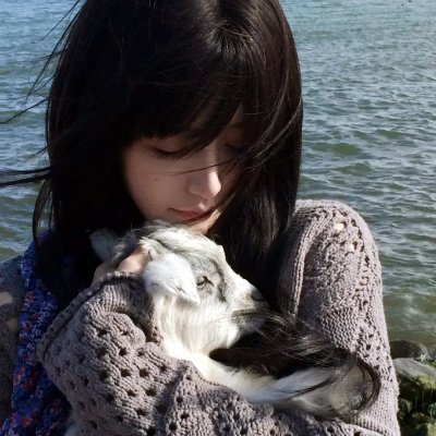 猪猪侠·不可思议的世界