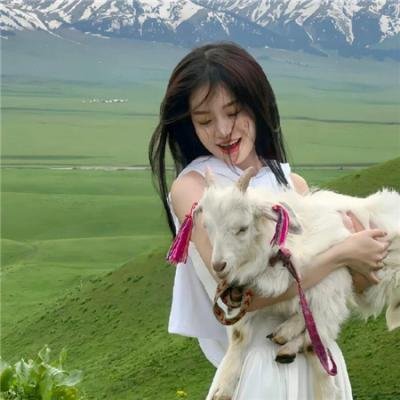 华盛顿的盔甲第一卷:旅程